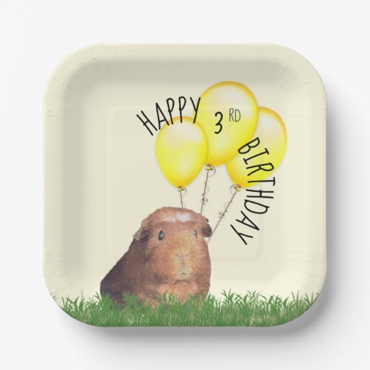 Custom Age Birthday Guinea Schweineborloon Pappteller (Vorderseite)