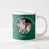 Custom All You Need Cat Photo Specialty Mug Jumbo-Tasse (Rechts)