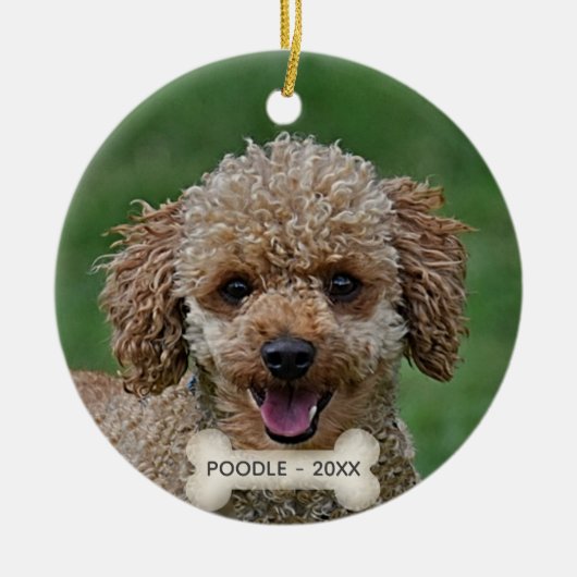 Custom Apricot Poodle Dog Foto Keramik Ornament (Vorne)
