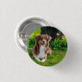 Custom Australian Shepherd Dog Pet Foto Button (Vorne & Hinten)
