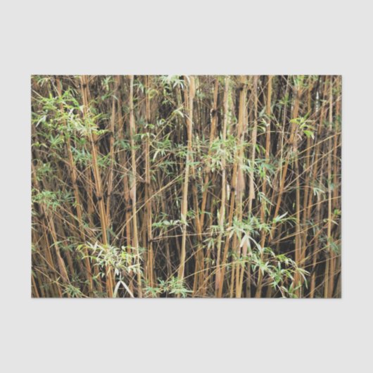 Custom Bamboo Jungle Tissue Paper Seidenpapier (Vorderseite)