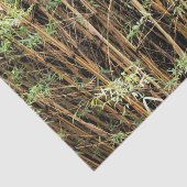 Custom Bamboo Jungle Tissue Paper Seidenpapier (Ausschnitt)