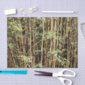 Custom Bamboo Jungle Tissue Paper Seidenpapier (Handwerk)