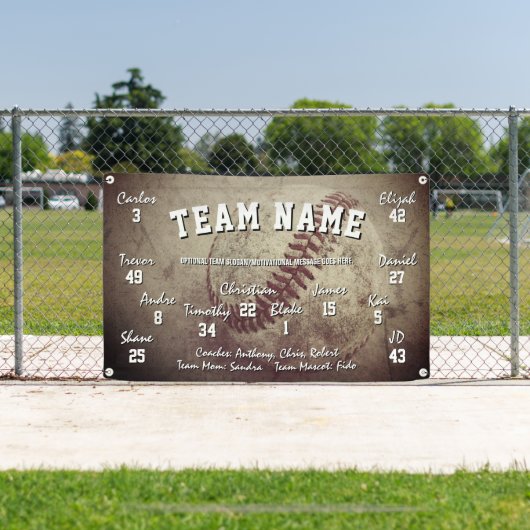 Custom Baseball Team Spirit Banner (Insitu)