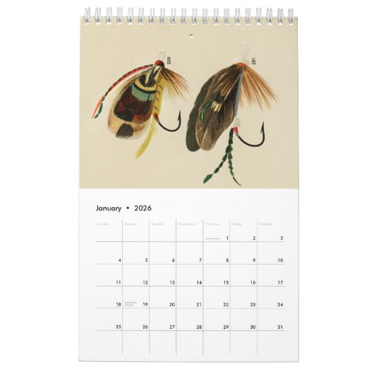 Custom Beautiful Flies Insect Collection 2024 Kalender (Jan 2026)