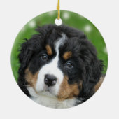 Custom Bernese Mountain Hund Foto Keramik Ornament (Hinten)
