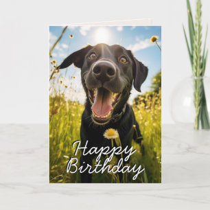 Custom Black Labrador Happy Birthday Card Dankeskarte