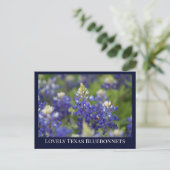 Custom Blue Spring Bluebonnet Texas Staat Blume Postkarte (Stehend Vorderseite)