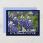Custom Blue Spring Bluebonnet Texas Staat Blume Postkarte (Vorne/Hinten)