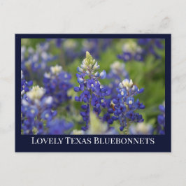 Custom Blue Spring Bluebonnet Texas Staat Blume Postkarte