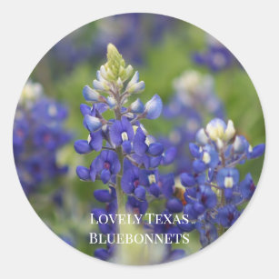 Custom Blue Spring Bluebonnet Texas Staat Blume Runder Aufkleber