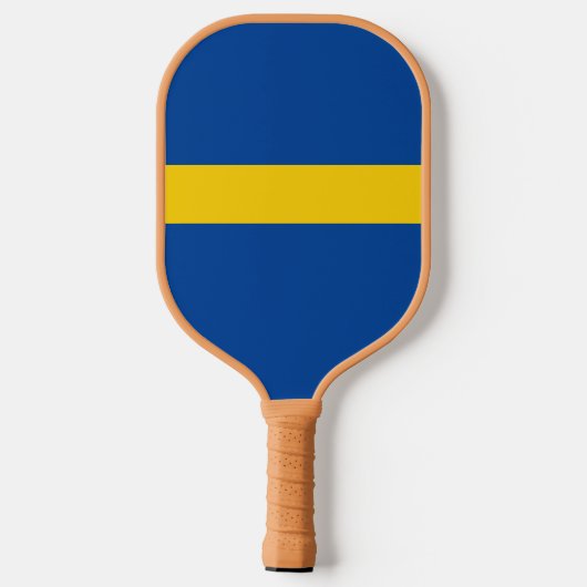 Custom Blue Yellow Pickleball Fanatic Pickleball Schläger (Rückseite)