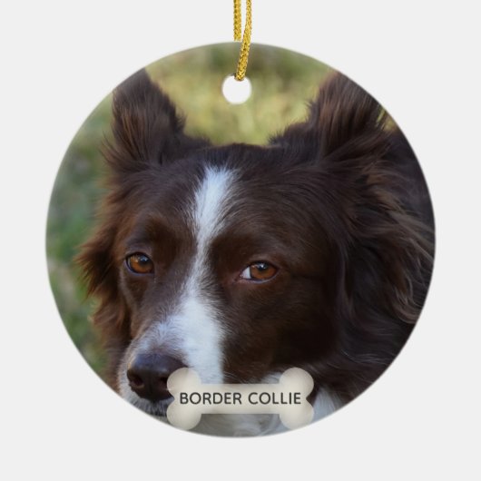 Custom Brown Border Collie Dog Foto Keramik Ornament (Vorne)