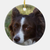 Custom Brown Border Collie Dog Foto Keramik Ornament (Hinten)