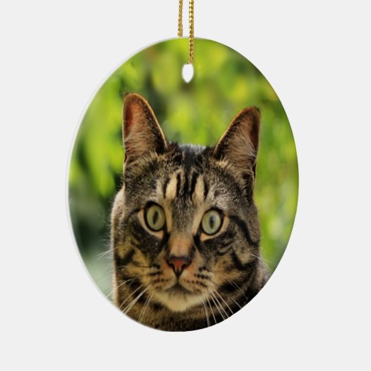 Custom Brown Tabby Cat Foto Keramik Ornament (Rechts)