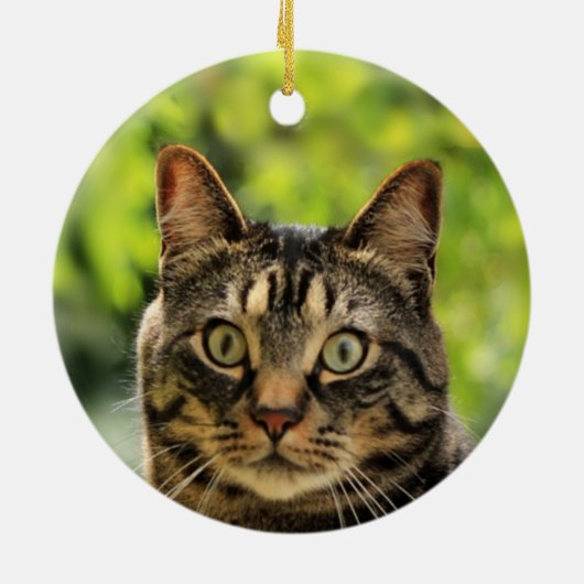 Custom Brown Tabby Cat Foto Keramik Ornament (Hinten)
