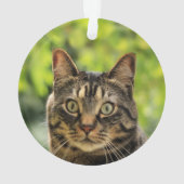 Custom Brown Tabby Cat Foto Ornament (Rückseite)