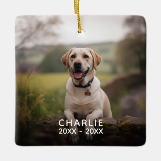 Custom Buffalo Kariert Foto Pet Memorial Keramikornament (Vorderseite)