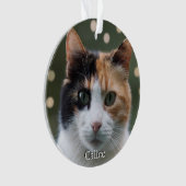 Custom Calico Cat Foto Personalisiert Ornament (Vorderseite)