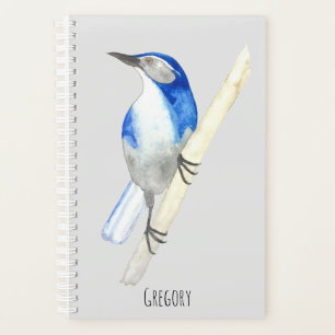 Custom California Scrub Jay Planer