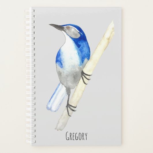 Custom California Scrub Jay Planer (Vorderseite)
