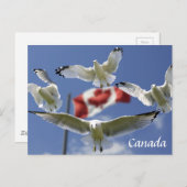 Custom Canada Flag seagulls Post card Postkarte (Vorne/Hinten)
