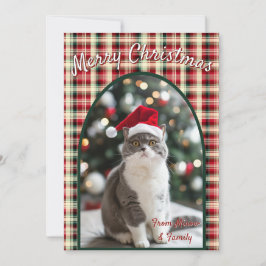 Custom Cat Christmas Feiertagskarte