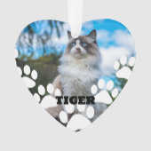 Custom Cat Foto Herz Akronylic Ornament mit Name (Vorderseite)