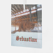 Custom Cat Glass Ornament Aus Glas (Vorderseite links)