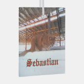 Custom Cat Glass Ornament Aus Glas (Vorderseite Rechts)