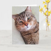 Custom Cat Miss Dir eine große Karte (Gelbe Blume)