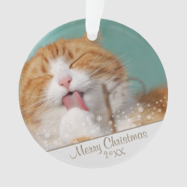 Custom Cat Pet Foto Weihnachtsfeiertag Keepake Ornament