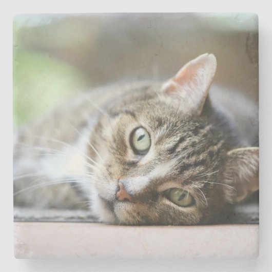 Custom Cat Photo Pet Lover Gift Steinuntersetzer (Vorderseite)