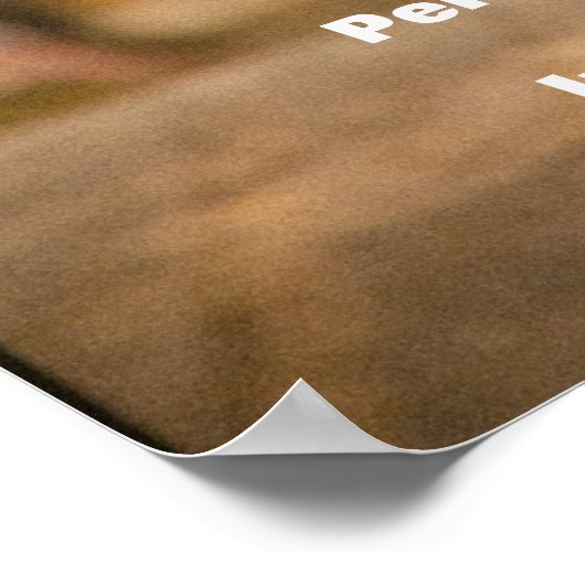 Custom Cat Portrait Poster - Digital Pet Art Print (Ecke)