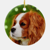 Custom Cavalier King Charles Spaniel Dog Foto Keramik Ornament (Hinten)