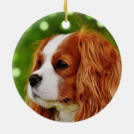 Custom Cavalier King Charles Spaniel Dog Foto Keramik Ornament (Hinten)