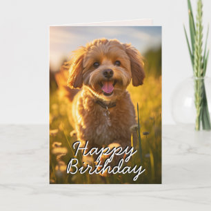 Custom Cavoodle/Cavapoo Happy Birthday Card Dankeskarte