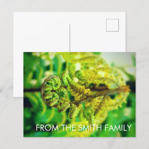 CUSTOM CHIC GREEN LEAFE TROPICAL FERN NEW ZEALAND POSTKARTE