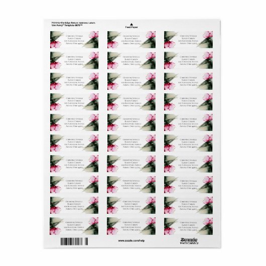 Custom Christine - Label (Vorne)