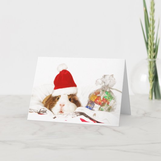 CUSTOM CHRISTMAS CARD GUINEPIG MIT WEIHNACHTSMANNM KARTE (Vorderseite)