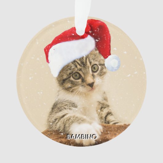 Custom Christmas Carol Cat Foto Personalisiert Ornament (Vorderseite)