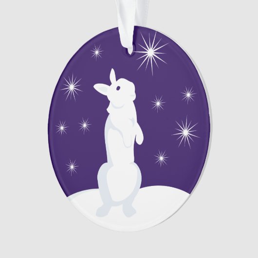 Custom Christmas Circle Ornament Rabbit (Vorderseite)