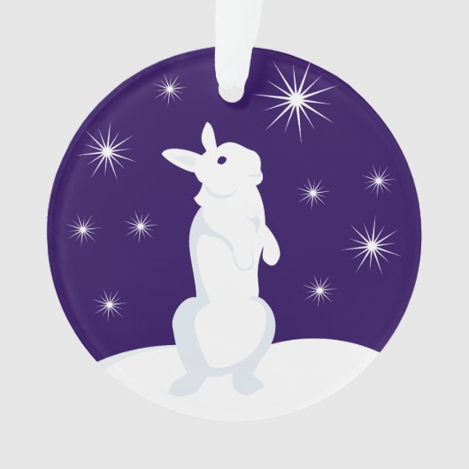 Custom Christmas Circle Ornament Rabbit (Vorderseite)