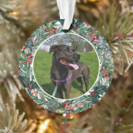 Custom Christmas Dog oder Cat Keepake Foto Ornament