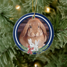 Custom Christmas Pet Bunny Rabbit Foto Jahr Name
