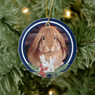 Custom Christmas Pet Bunny Rabbit Foto Jahr Name Keramik Ornament