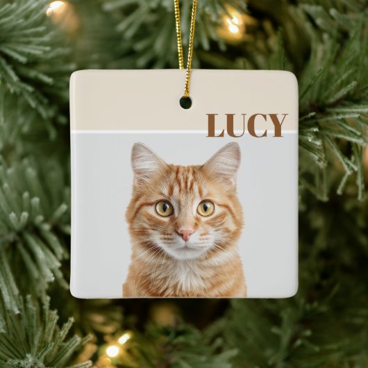 Custom Christmas Photo Ornament Cat & Name (Baum)