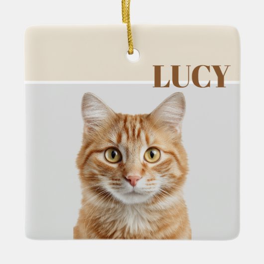 Custom Christmas Photo Ornament Cat & Name (Vorderseite)