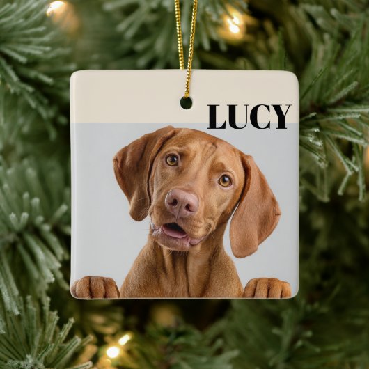 Custom Christmas Photo Ornament Dog & Name (Baum)
