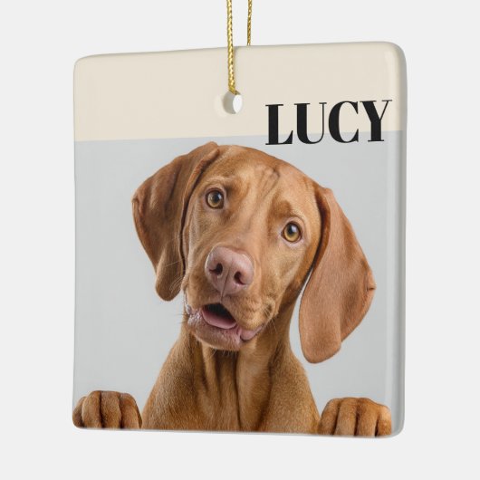 Custom Christmas Photo Ornament Dog & Name (Links)